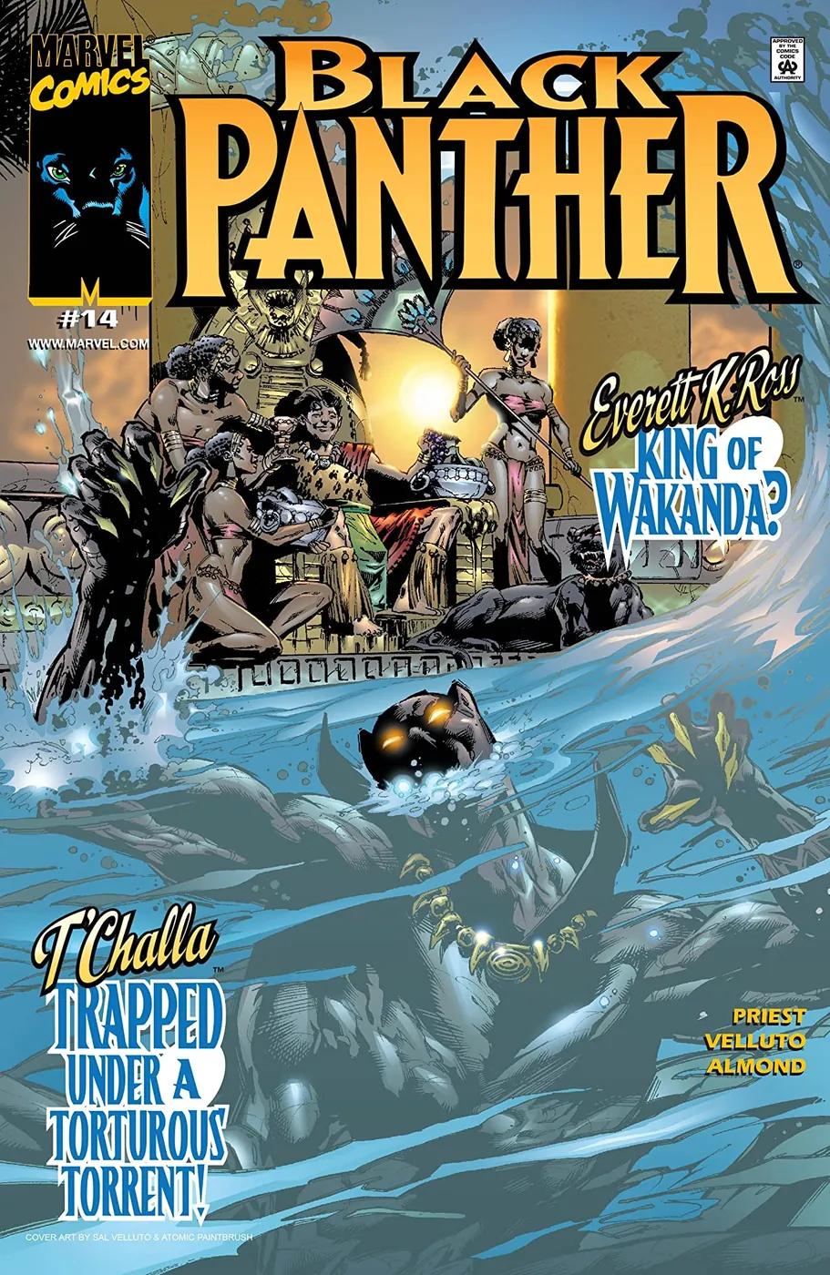 Cover of Black Panther #14