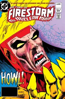 Cover of The Fury of Firestorm #12