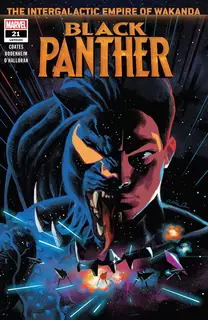 Cover of Black Panther #21 (193)