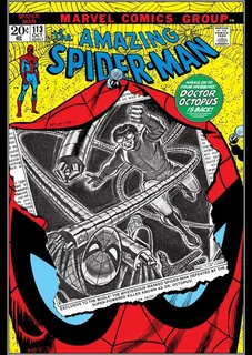 Cover of The Amazing Spider-Man #113