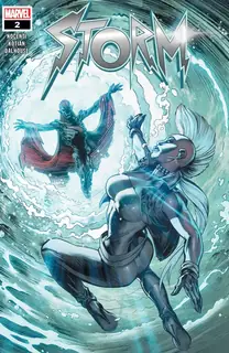 Cover of Storm #2