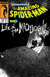 Cover of The Amazing Spider-Man #295