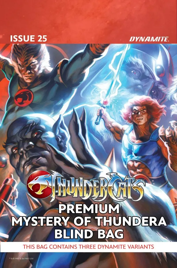 Cover of ThunderCats #25
