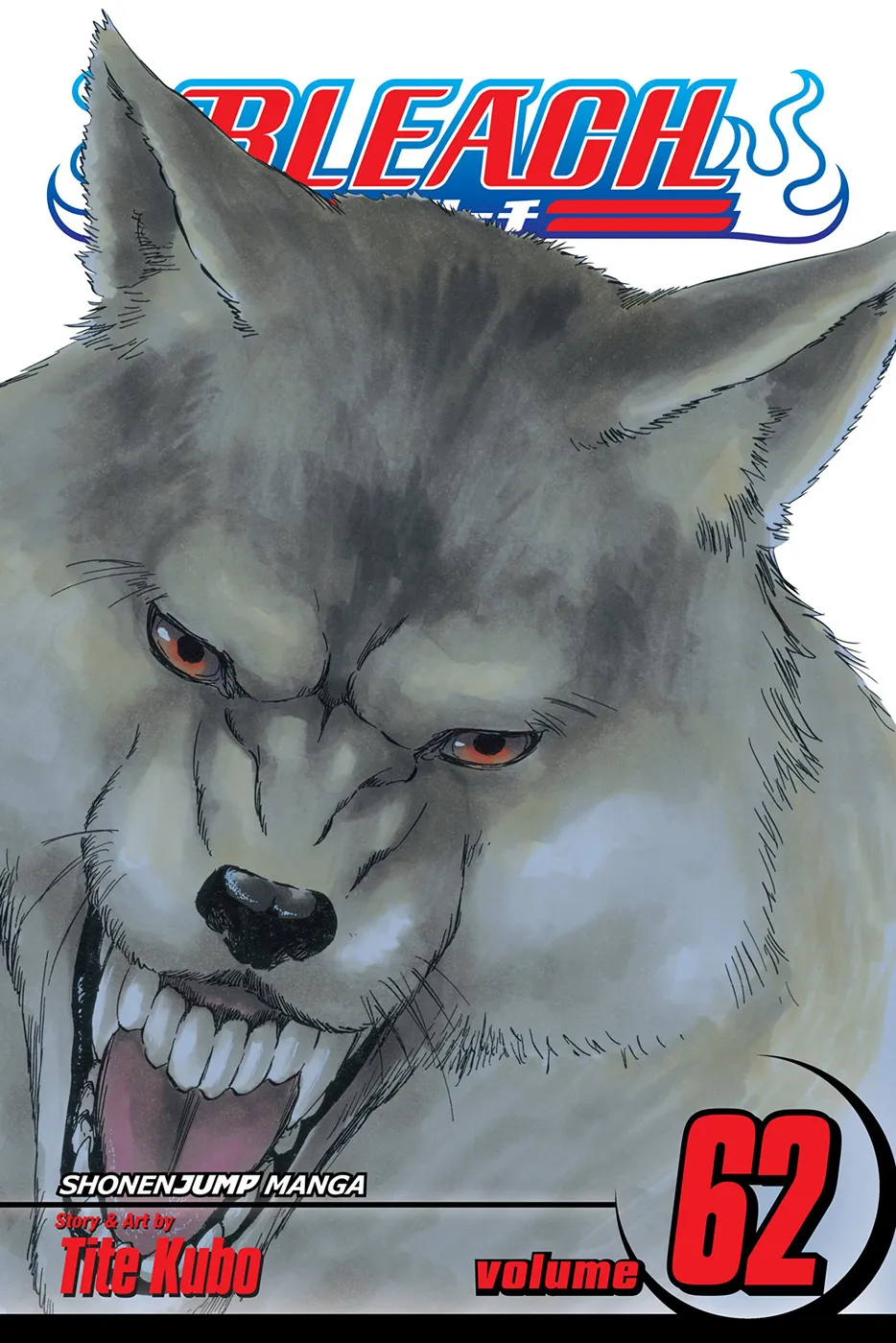 Cover of Bleach #62