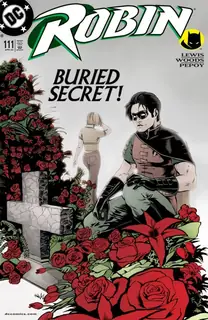 Cover of Robin #111