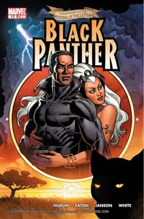 Cover of Black Panther #17