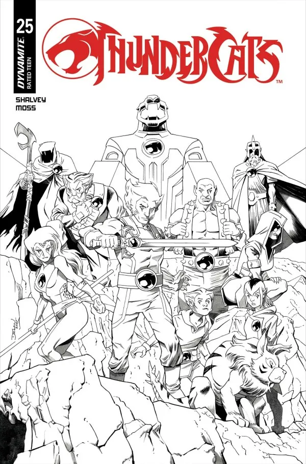 Cover of ThunderCats #25