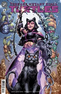 Cover of Teenage Mutant Ninja Turtles #17