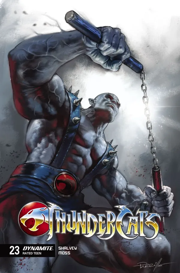 Cover of ThunderCats #23