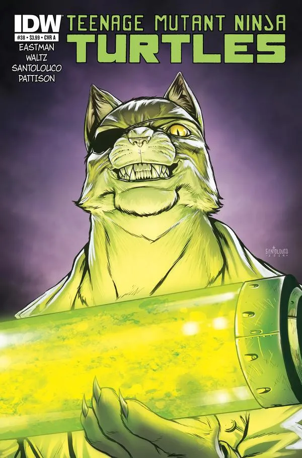 Cover of Teenage Mutant Ninja Turtles #38