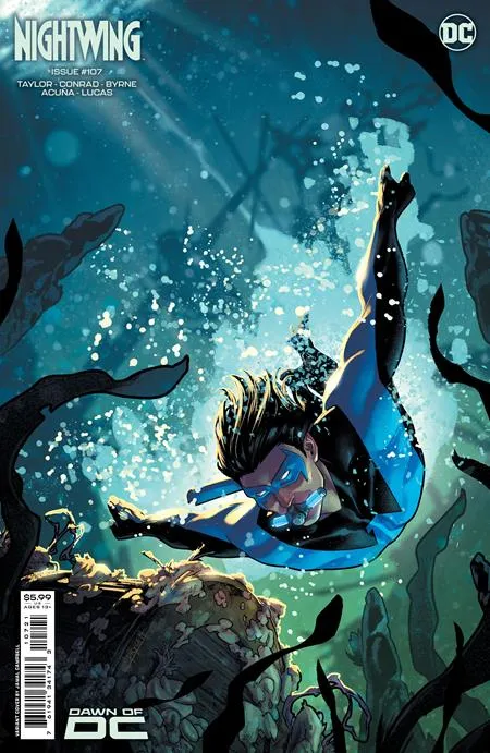 Cover of Nightwing #107