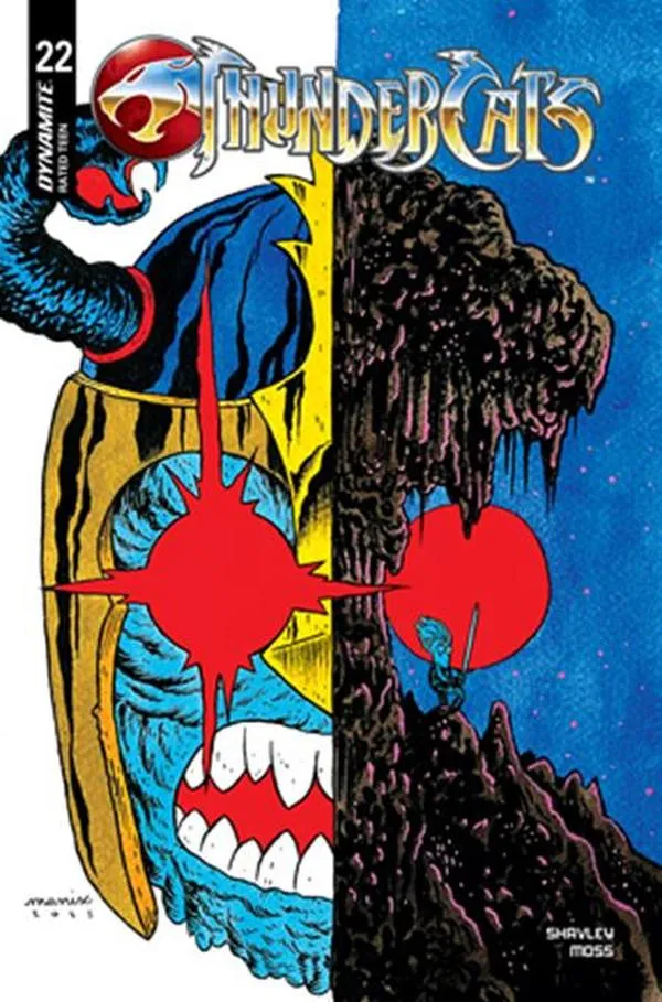 Cover of ThunderCats #22