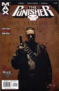 Cover of Punisher #19