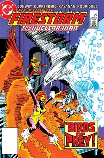 Cover of The Fury of Firestorm #27