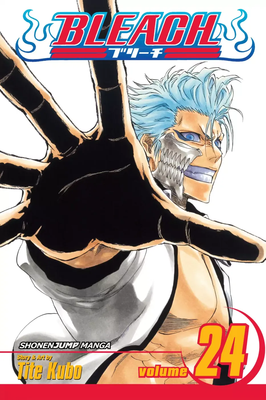Cover of Bleach #24