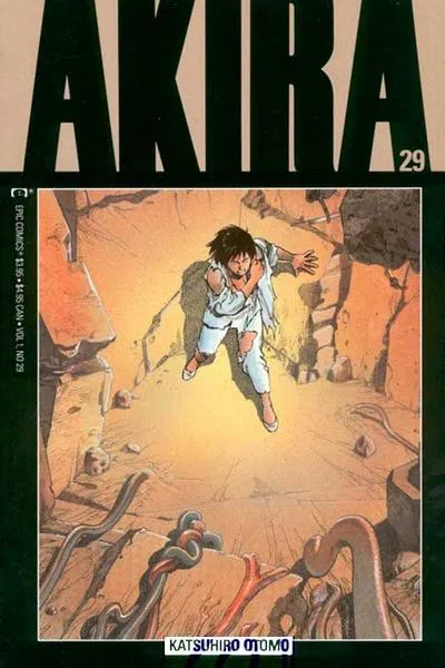 Cover of Akira #29