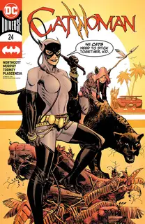 Cover of Catwoman #24
