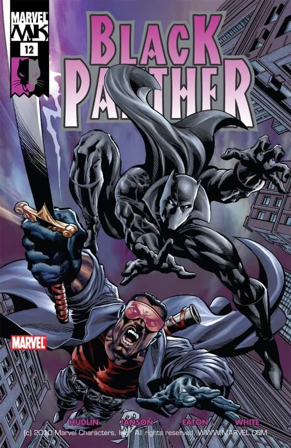 Cover of Black Panther #12