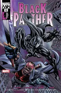 Cover of Black Panther #12