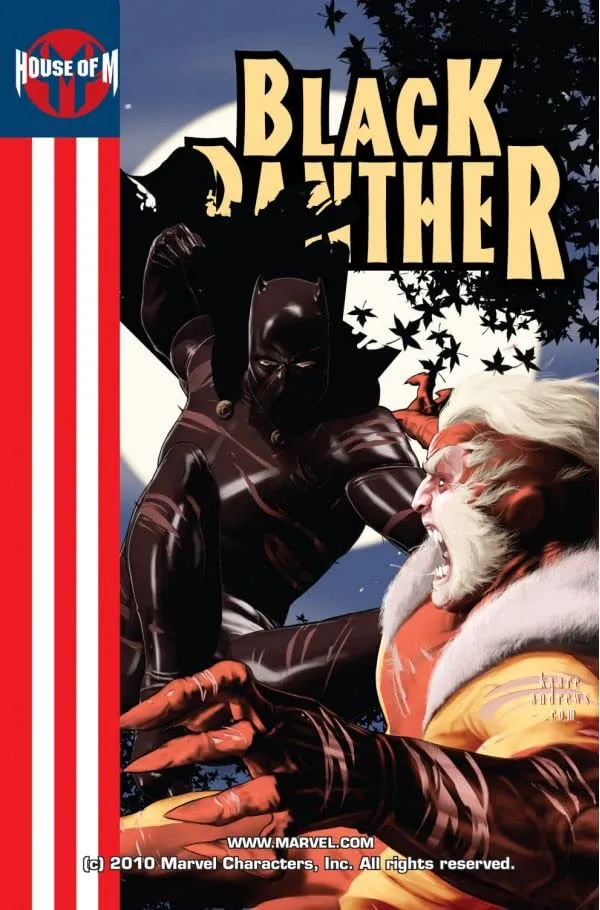 Cover of Black Panther #7