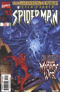 Cover of Spider-Man #96