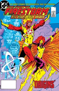 Cover of The Fury of Firestorm #22