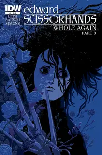 Cover of Edward Scissorhands #8